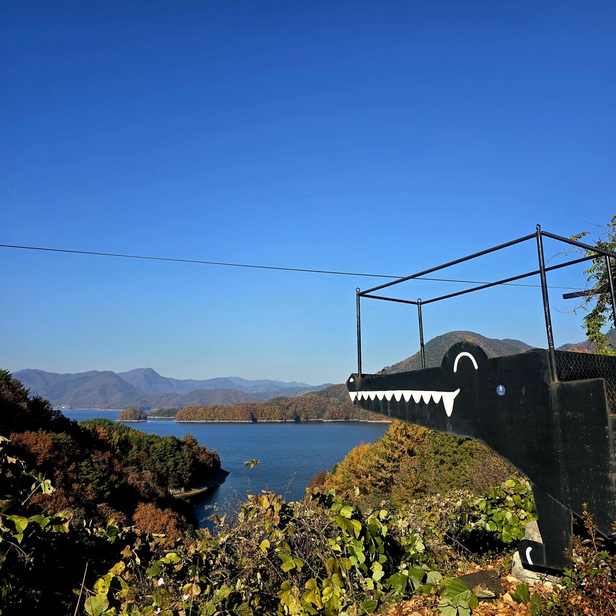 게으른 악어_1.jpg