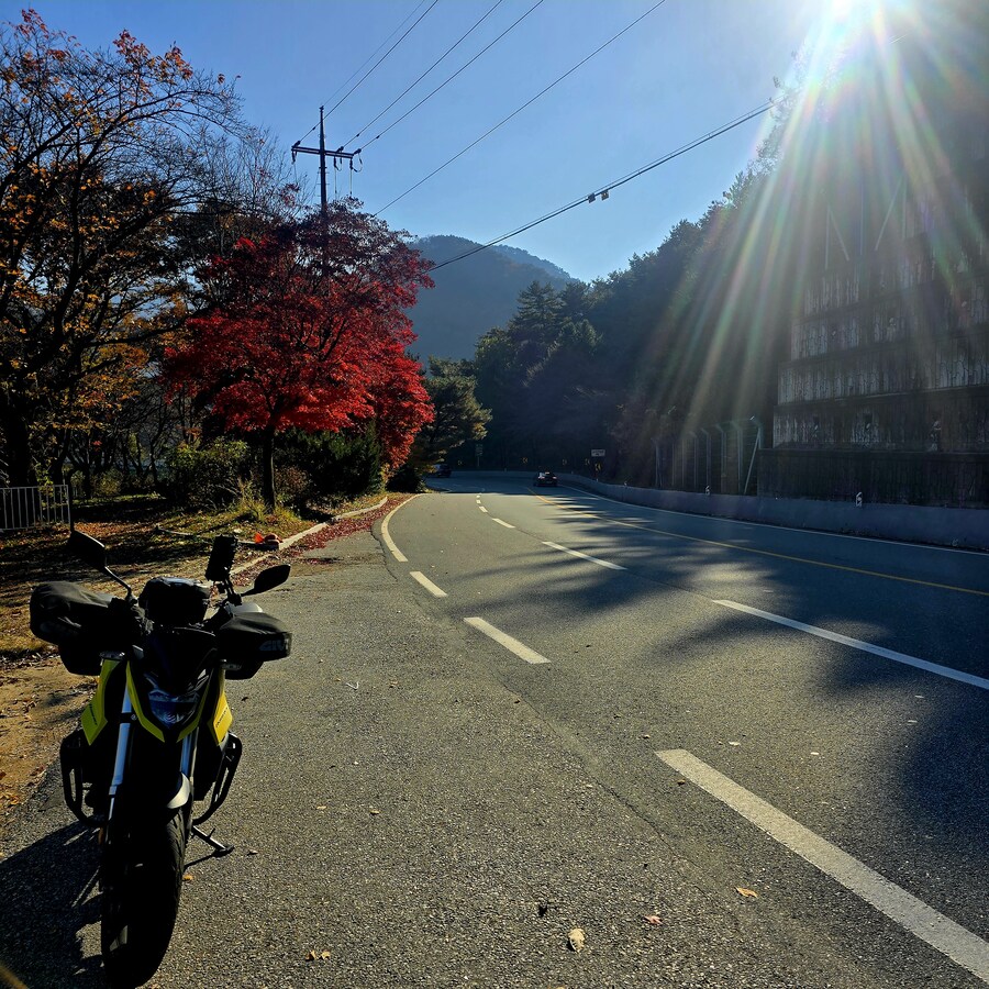 게으른 악어_3.jpg