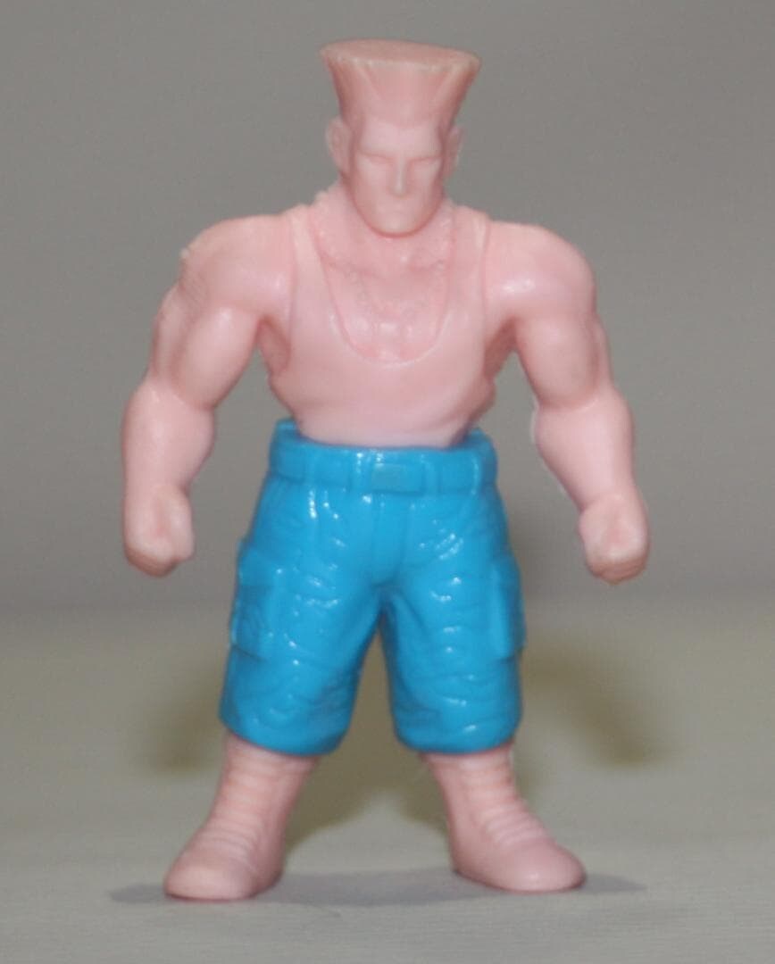 92년 올드토이 스트리트파이터2 갸샤폰 12종 수집완료._10.jpg