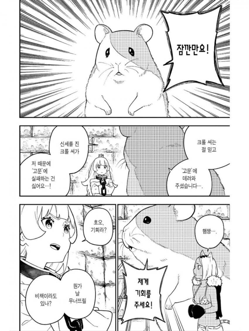 고추잡채 만드는 햄스터.jpg_1.jpg