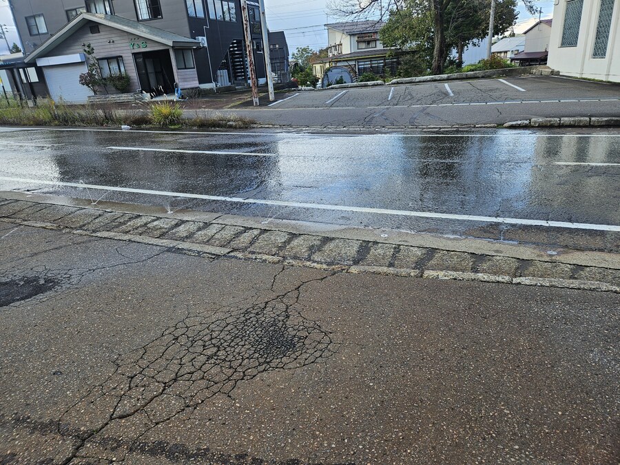 단풍과 이끼. 니가타 9박10 여행 - 3_64.jpg