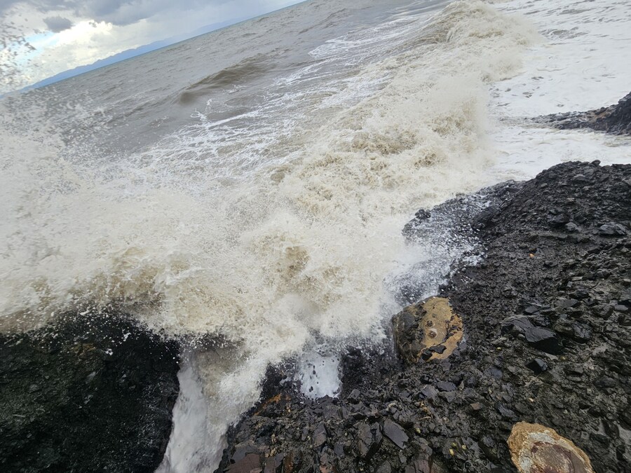 단풍과 이끼. 니가타 9박10 여행 - 4_11.jpg