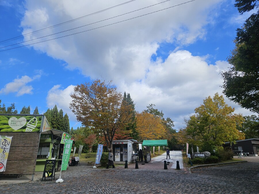 단풍과 이끼. 니가타 9박10 여행 - 4_35.jpg