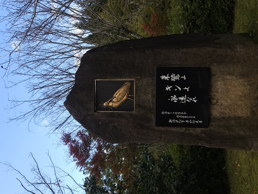 단풍과 이끼. 니가타 9박10 여행 - 4_36.jpg