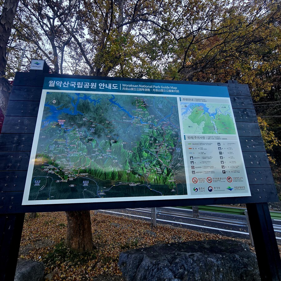 게으른 악어_15.jpg