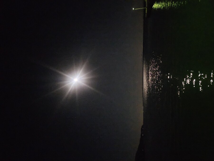 단풍과 이끼. 니가타 9박10 여행 - 4_59.jpg