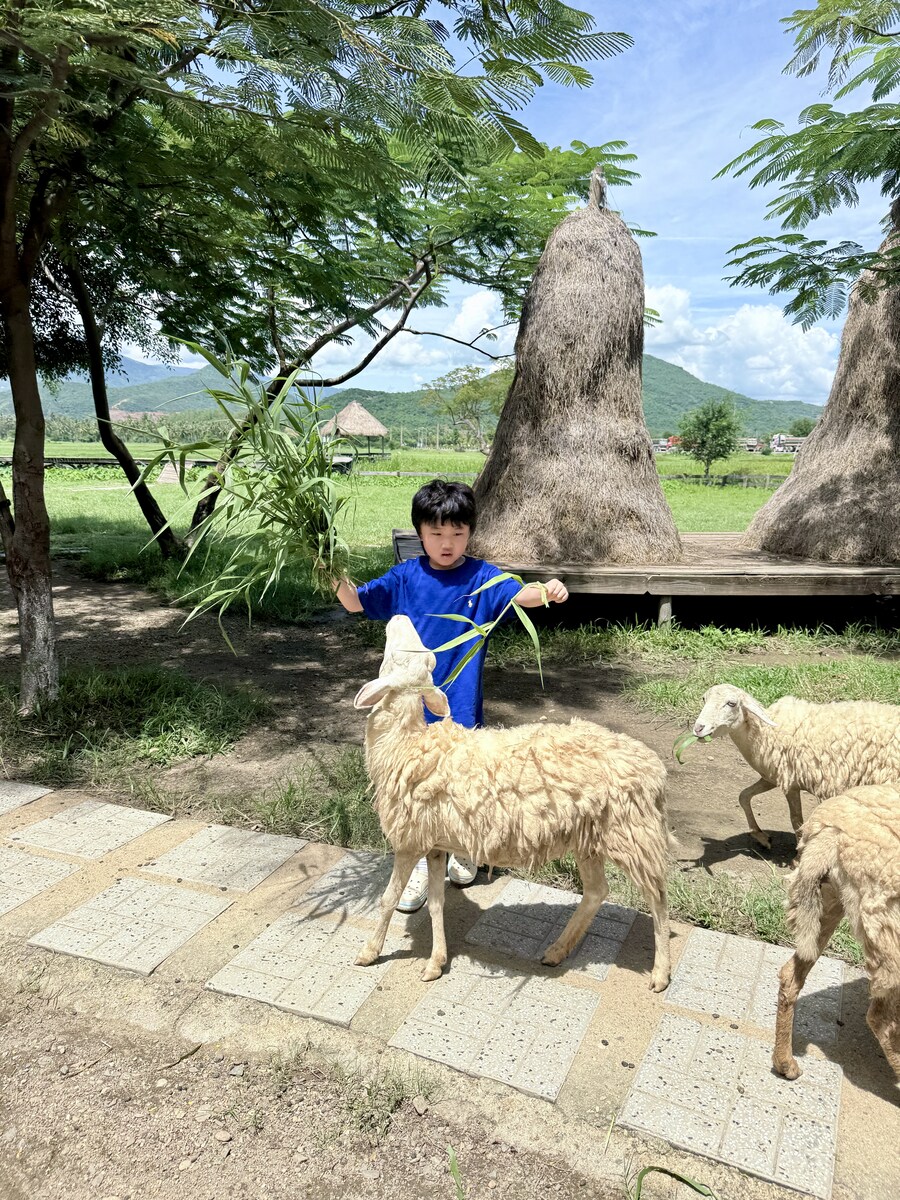 7박8일 베트남 나짱 먹부림_1_13.jpg