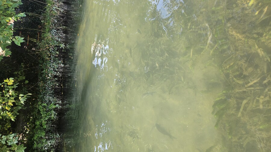 후쿠오카에 왔습니다 이틀차_4.jpg