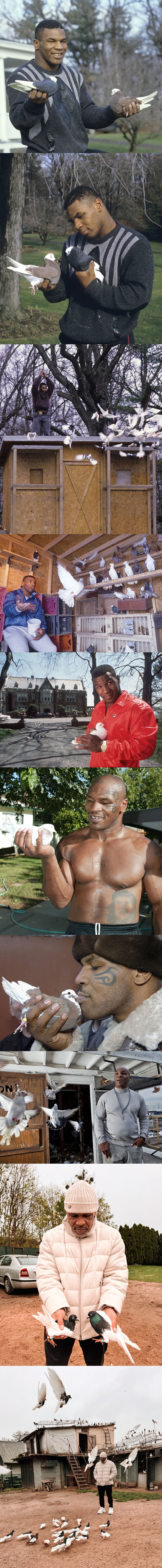 마이크 타이슨이 지금도 즐기는 취미_1.png