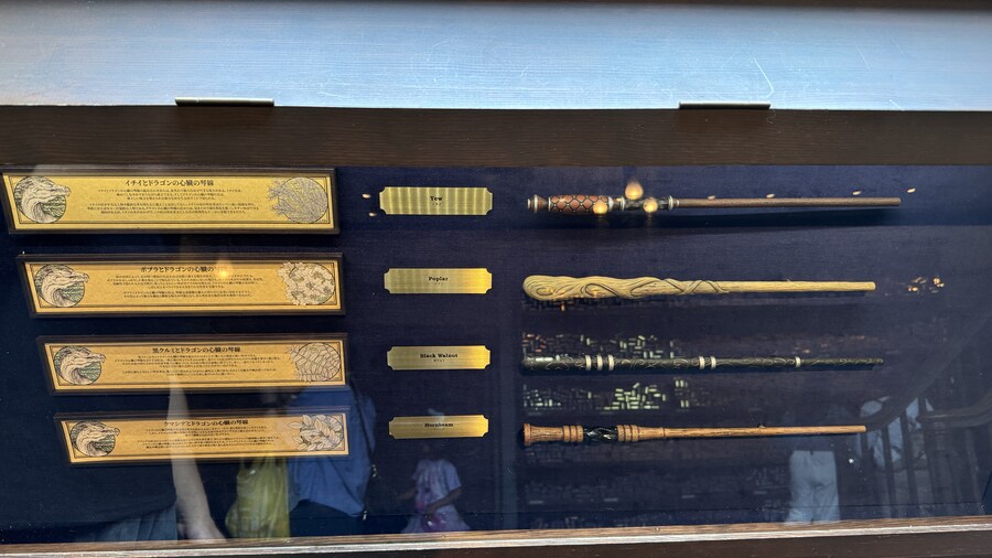 내마음대로 3박4일 교토 체류기 2일차 1부 (2024.06.21.)_31.jpg