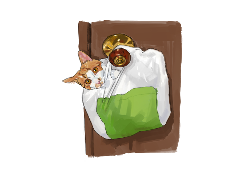 남의집 고양이 보고가이소_1.png