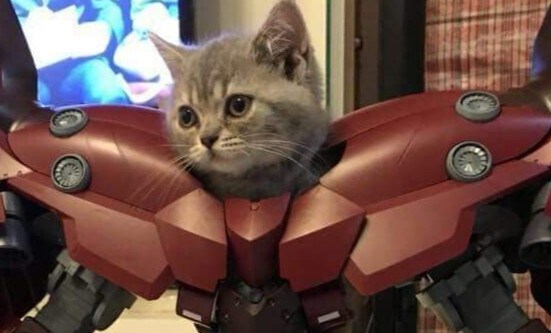 내 친구 딸치다가 고추에 화상입은 적 있음...txt_1.jpg