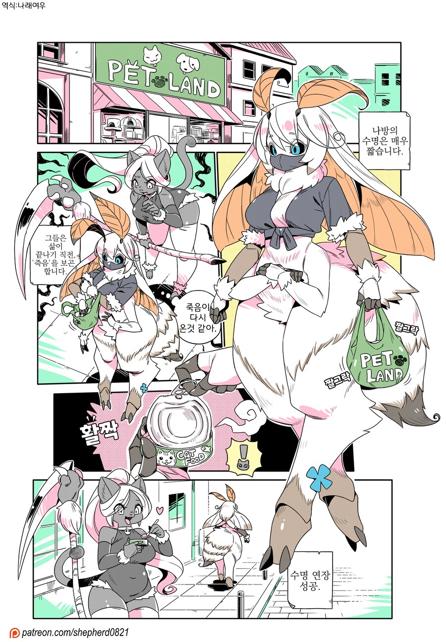 모던모갈 416화_1.png