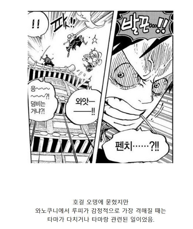원피스 루피가 카이도랑 싸운 개연성.JPG_25.png