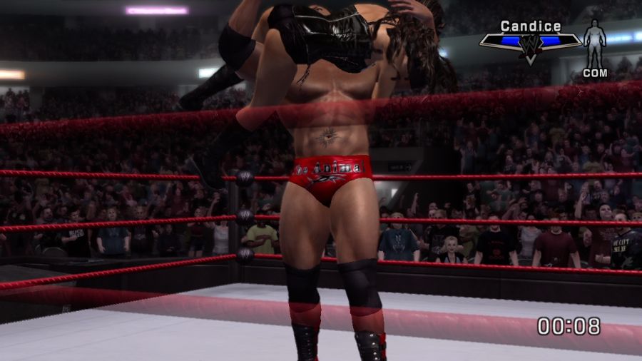 WWE 스맥다운vs로우 2007_25.jpg