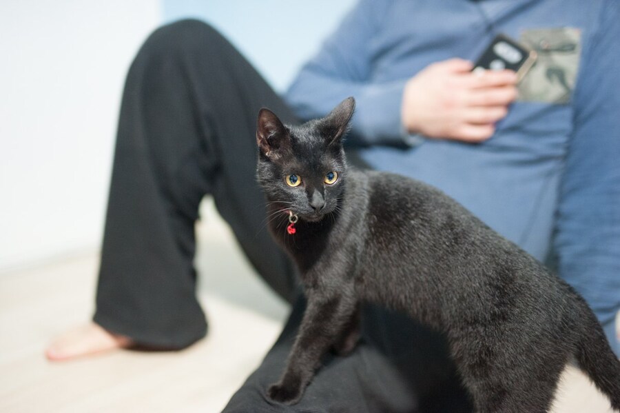 이시간에는 이런거 올리는게 맞겠지?_8.jpg