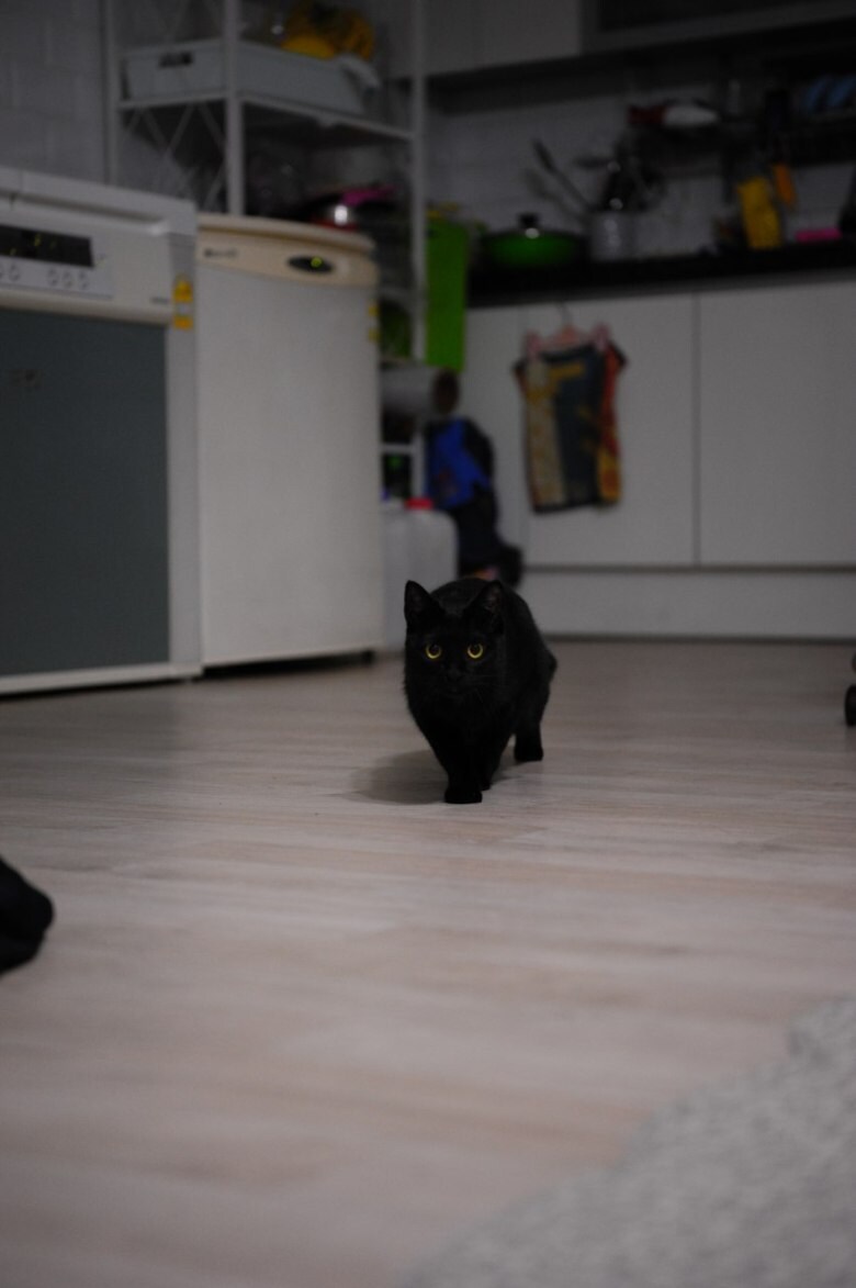 이시간에는 이런거 올리는게 맞겠지?_14.jpg