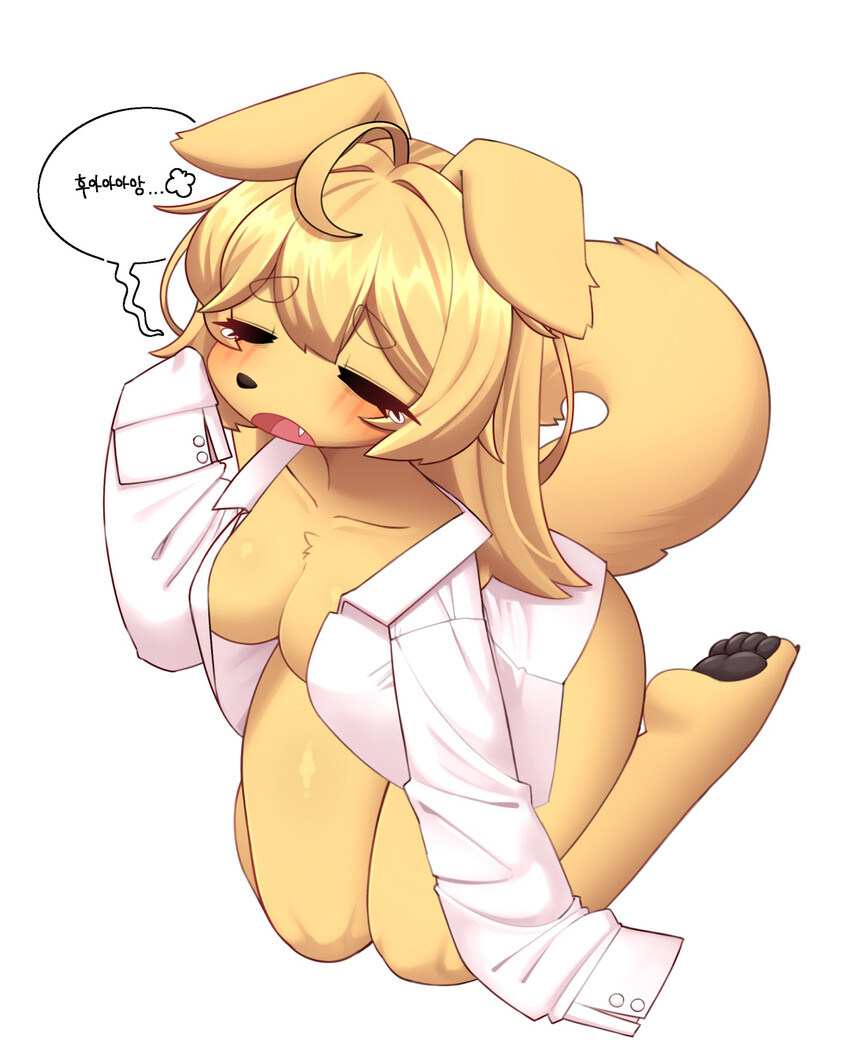 모닝의 퍼리퍼리야_4.jpg