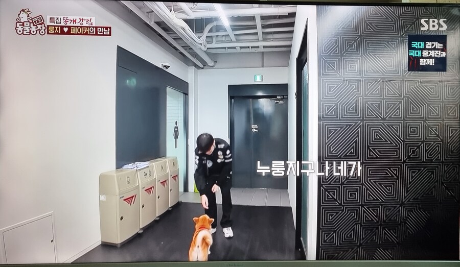 동물농장 근황_2.jpg