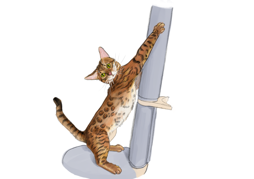 남의집 고양이 보고가이소_1.png