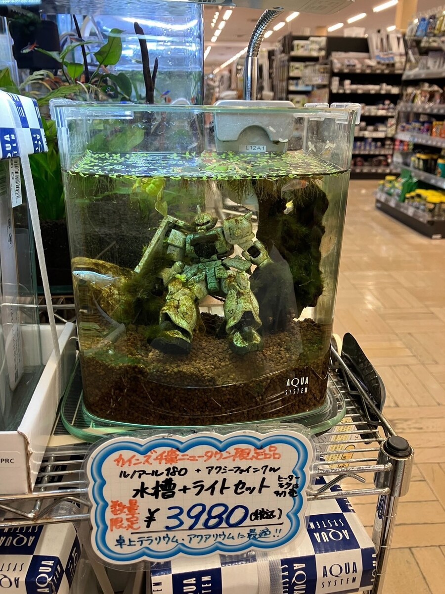 의외로 펫샵에서 볼 수 있다는 수조.jpg_1.jpg