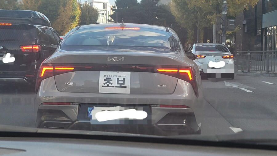 방금 목격한 초보운전_1.jpg