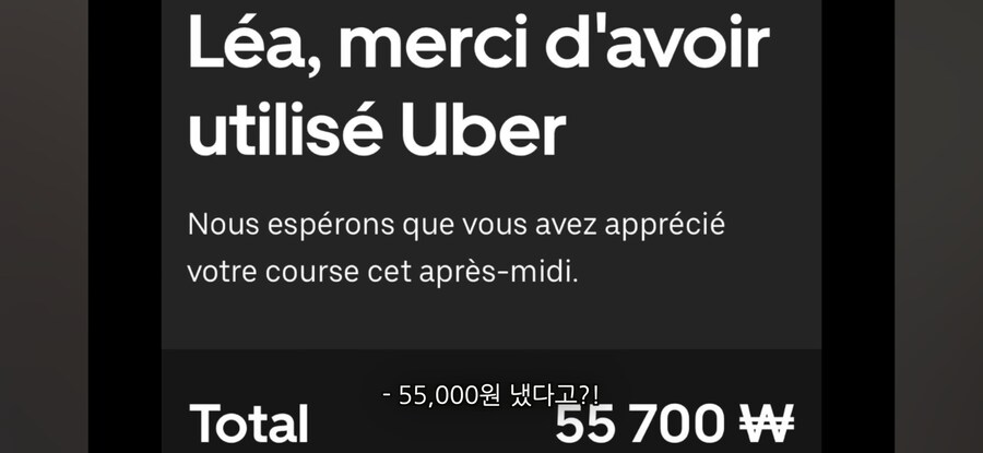 택시 사기 당한 외국인_21.jpg