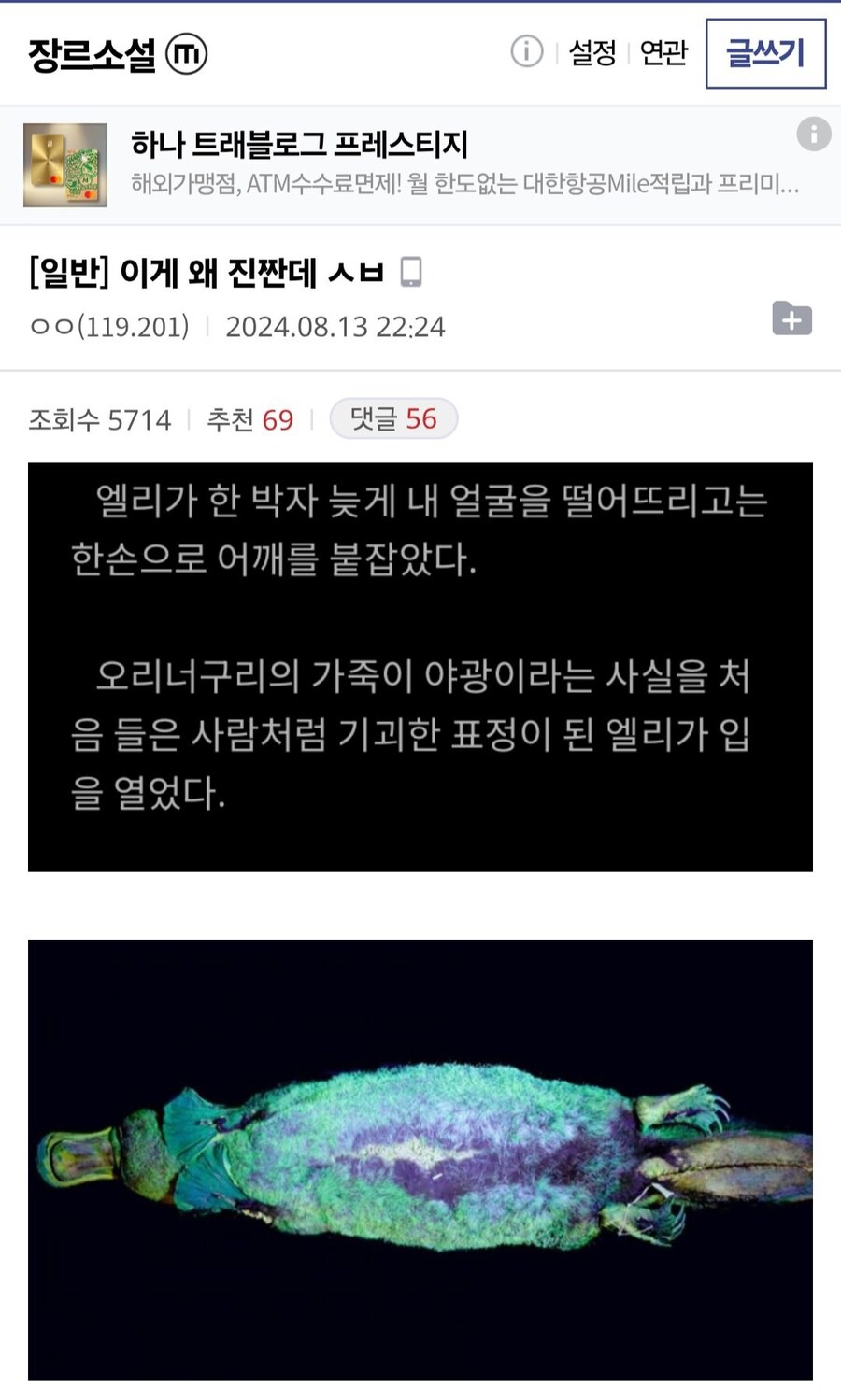 현재까지 밝혀진 오리너구리의 특징들_1.jpg