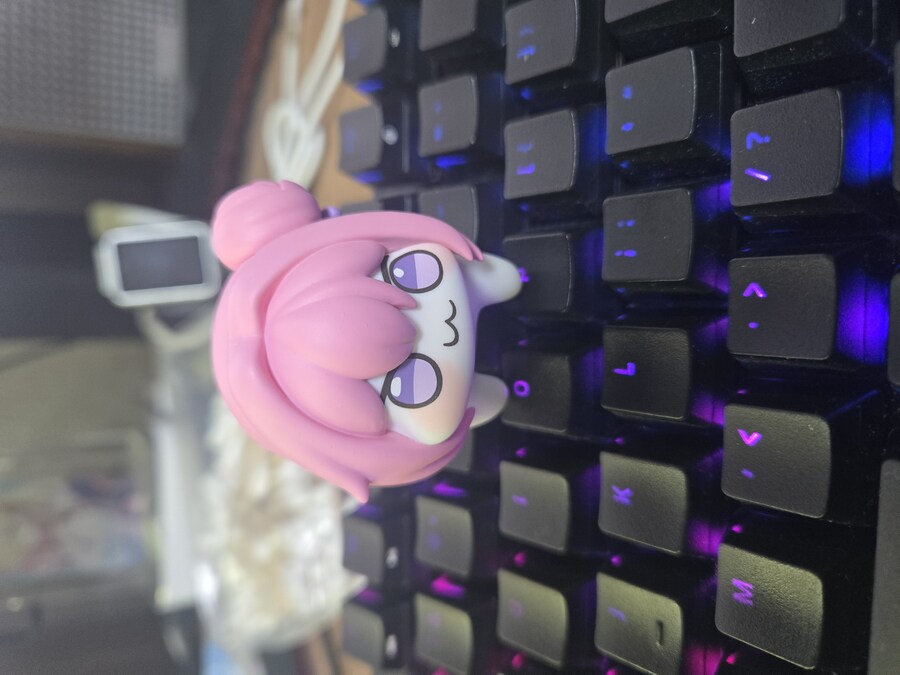 회사 책상에 도로롱 둬도 될까?_2.jpg