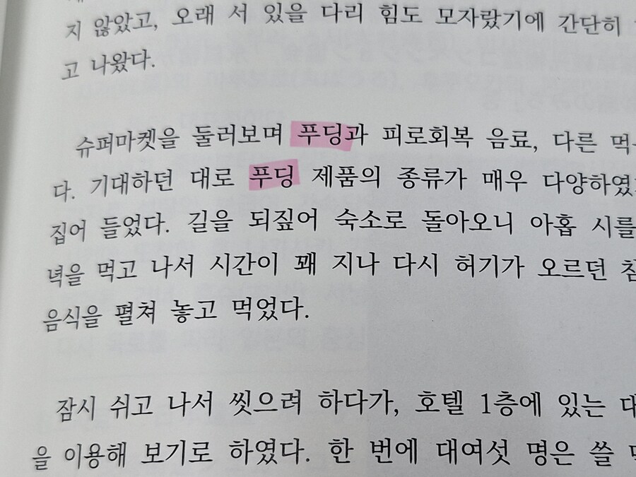 어느 푸딩 괴인의 책_3.jpg