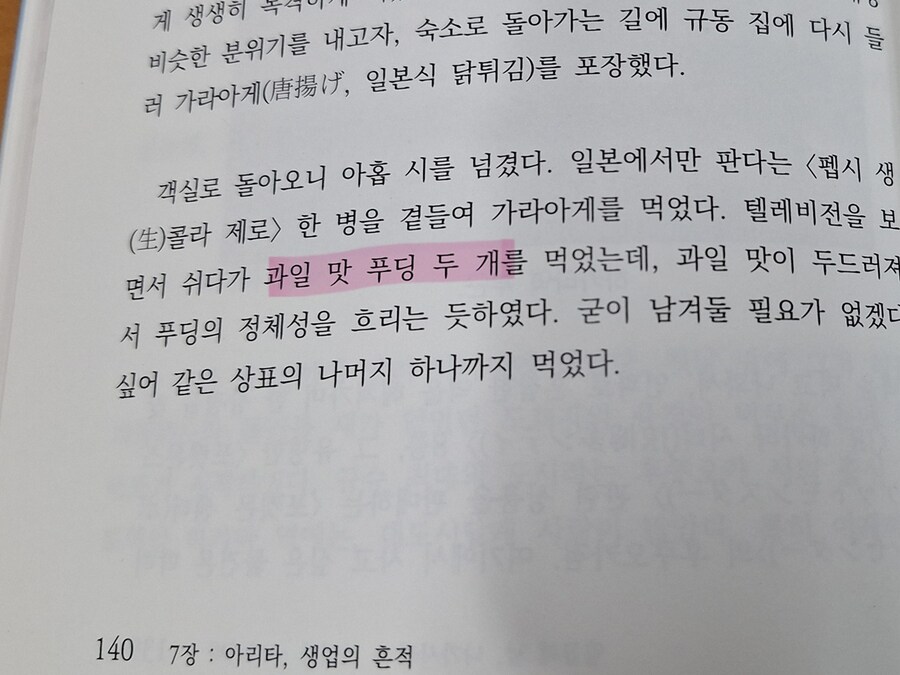 어느 푸딩 괴인의 책_7.jpg