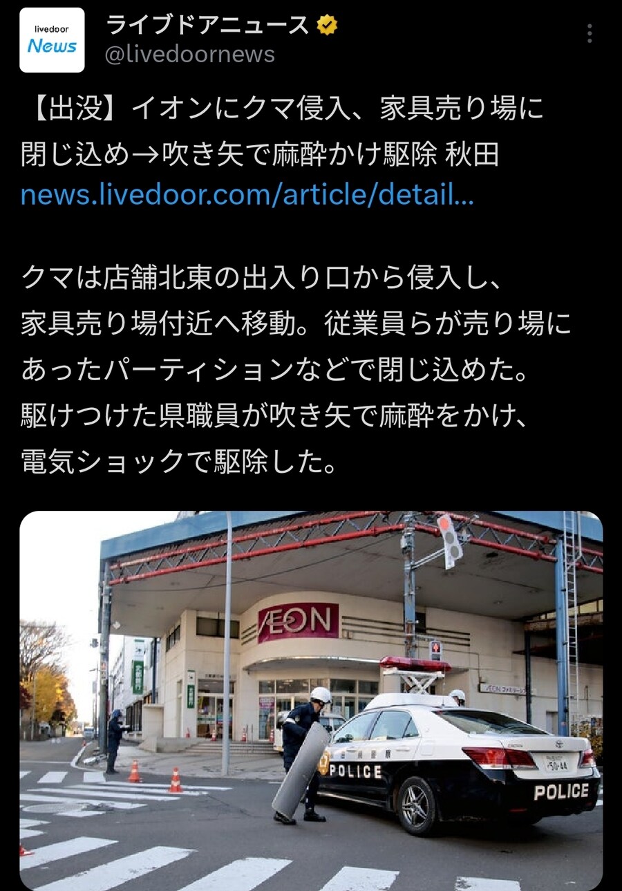 곰 많이 출몰한다는 아키타현 근황_2.jpg