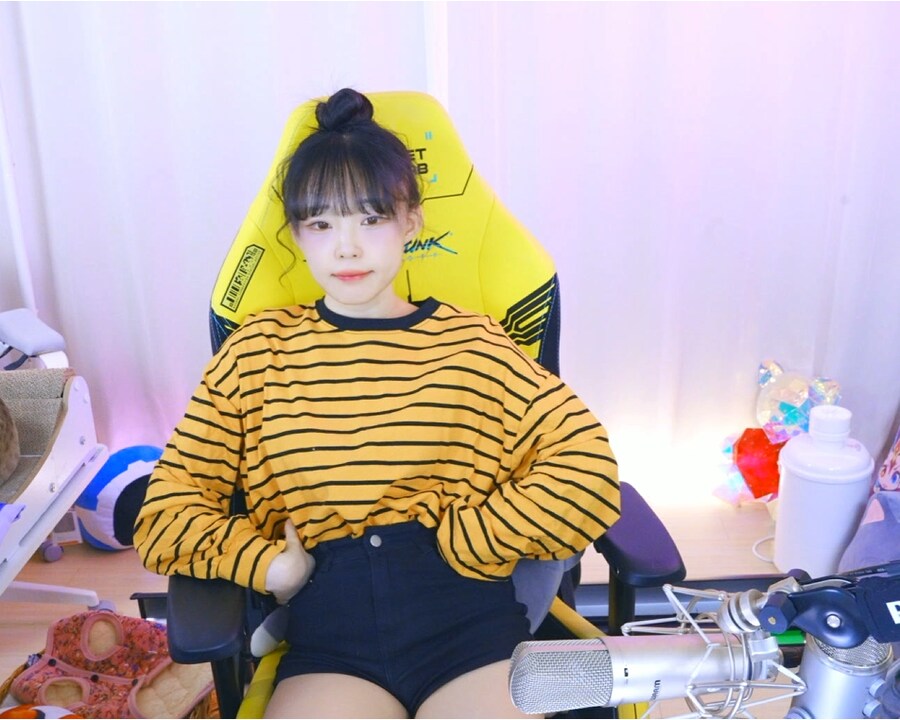 새봄TV] 아이온2 커마생성+마이리틀퍼피_1.png