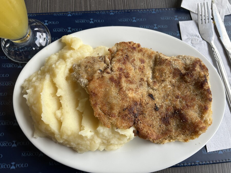 칠레 처갓집 방문기 (4) 10-12일차 : 발파라이소 / 비냐 델 말_11.jpg