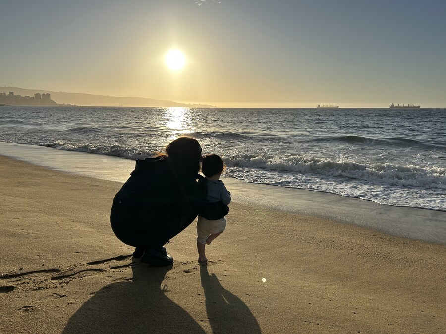 칠레 처갓집 방문기 (4) 10-12일차 : 발파라이소 / 비냐 델 말_23.jpg