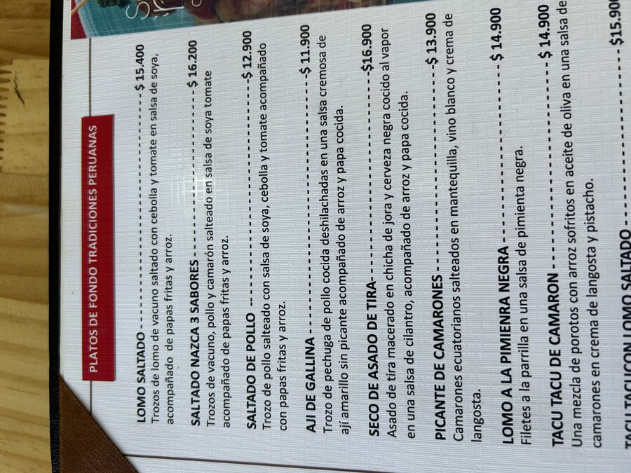 칠레 처갓집 방문기 (4) 10-12일차 : 발파라이소 / 비냐 델 말_76.jpg