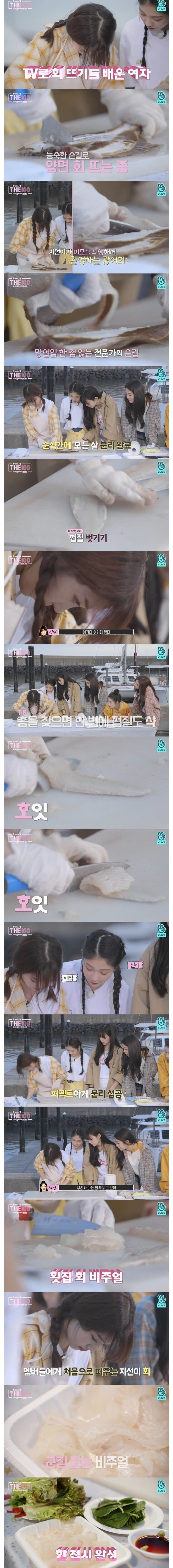 백종원 vs 걸그룹 회뜨기 대결_3.jpg