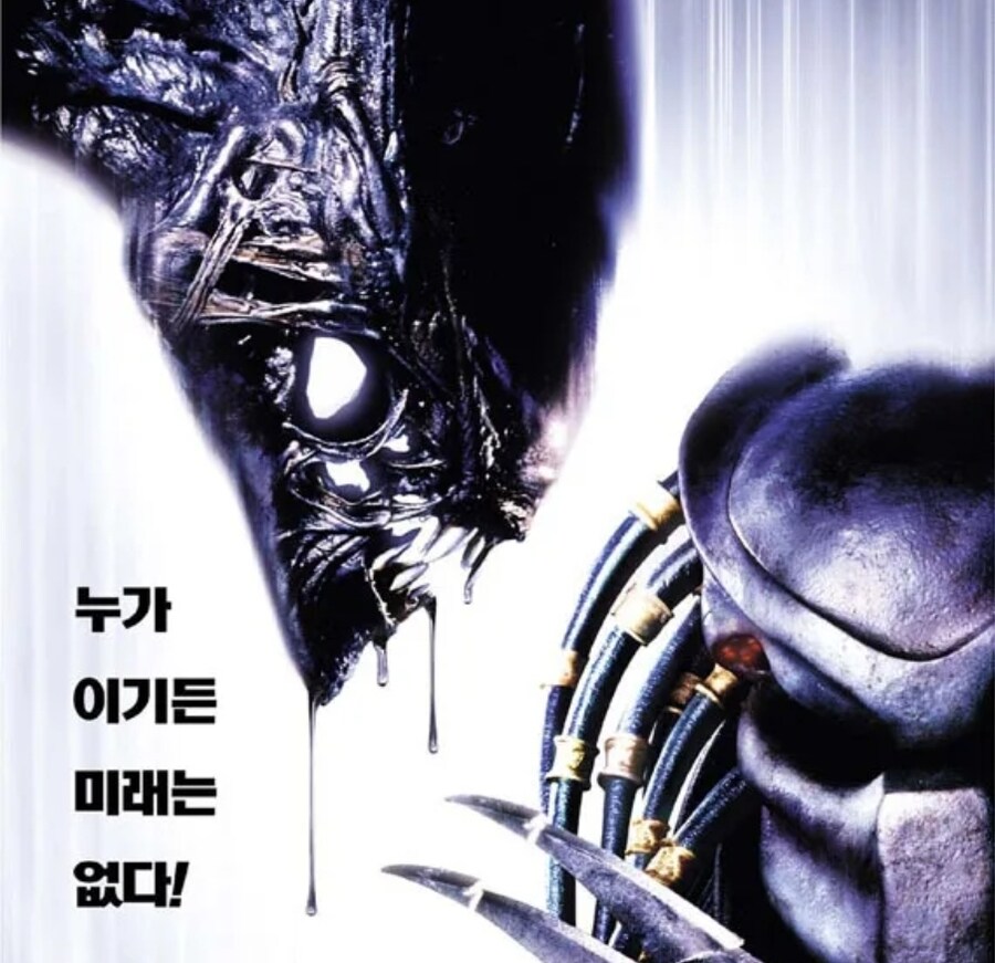 중국VS일본 ㅈㄹ하는거 한국 입장에서 보면_2.jpg