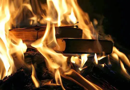 짤방으로 유명한 병'신과 머저리 소설의 내용.jpg_7.webp