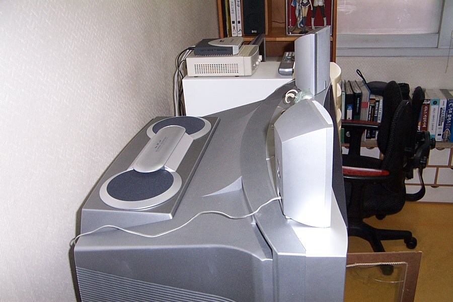 철들지 못한채 시간이 멈춰버린 50세 방사진_4.jpg