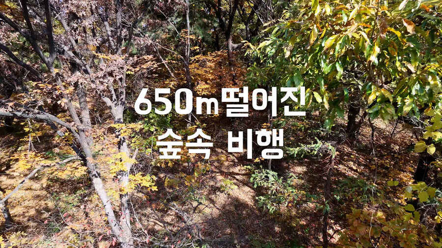 그 누구도 해보지 않았을 도심 숲속 dji NEO2 극한테스트 비행 리뷰_7.jpg