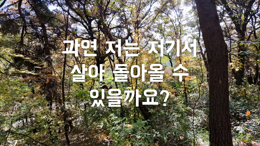 그 누구도 해보지 않았을 도심 숲속 dji NEO2 극한테스트 비행 리뷰_10.jpg