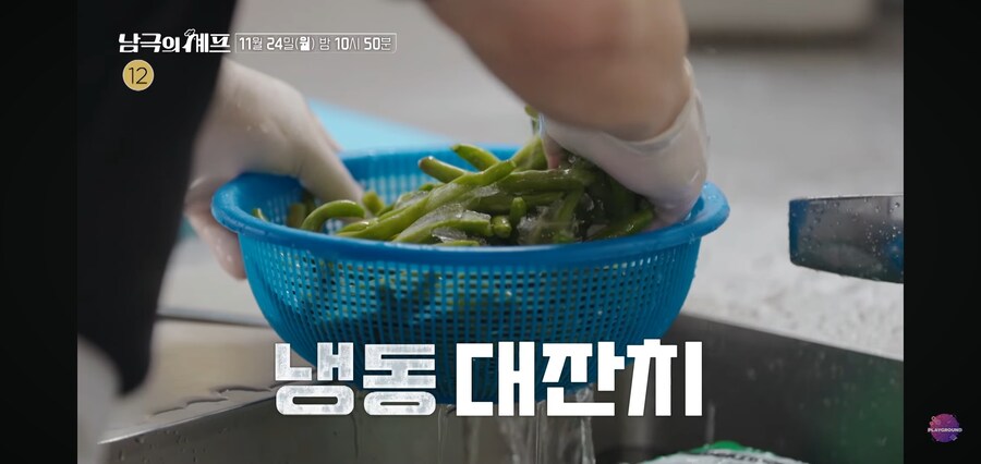 남극의 약탈자들 ㅅㅂ 이게 기후환경프로젝트냐_8.jpg