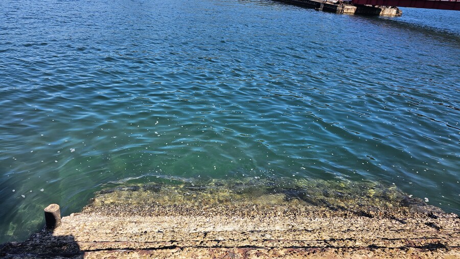 만성소화불량자의 8박9일 히로시마 여행 6,7일차 (쿠레, 미타라이)_70.jpg