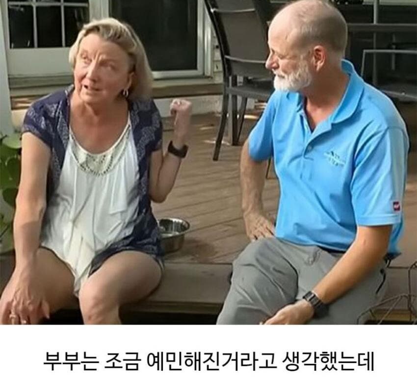골댕이가 얼마나 착한지 알 수 있는 일_4.jpg