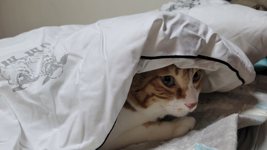 나 사실 추워쪙_2.jpg