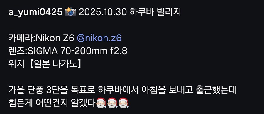 일본 나가노의 어느마을 뒷산_2.jpg