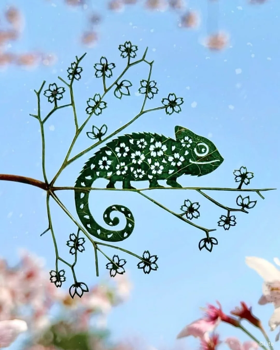 30살에 ADHD 판정 받고 시작한 예술_9.webp