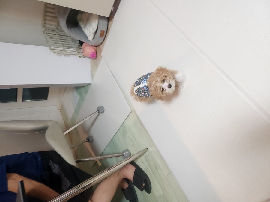 무슨무슨법을 회피하기 위한_2.jpg