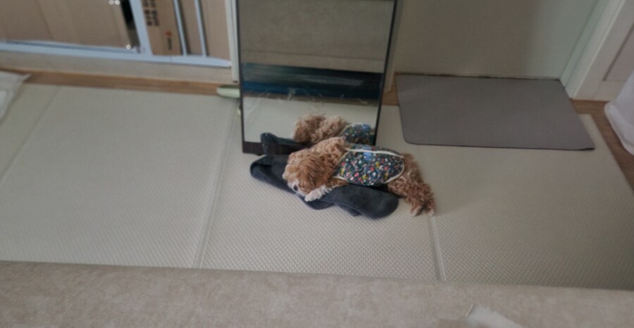 무슨무슨법을 회피하기 위한_3.png